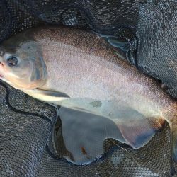 午後からのんびりと浜名湖フィッシングリゾートへ